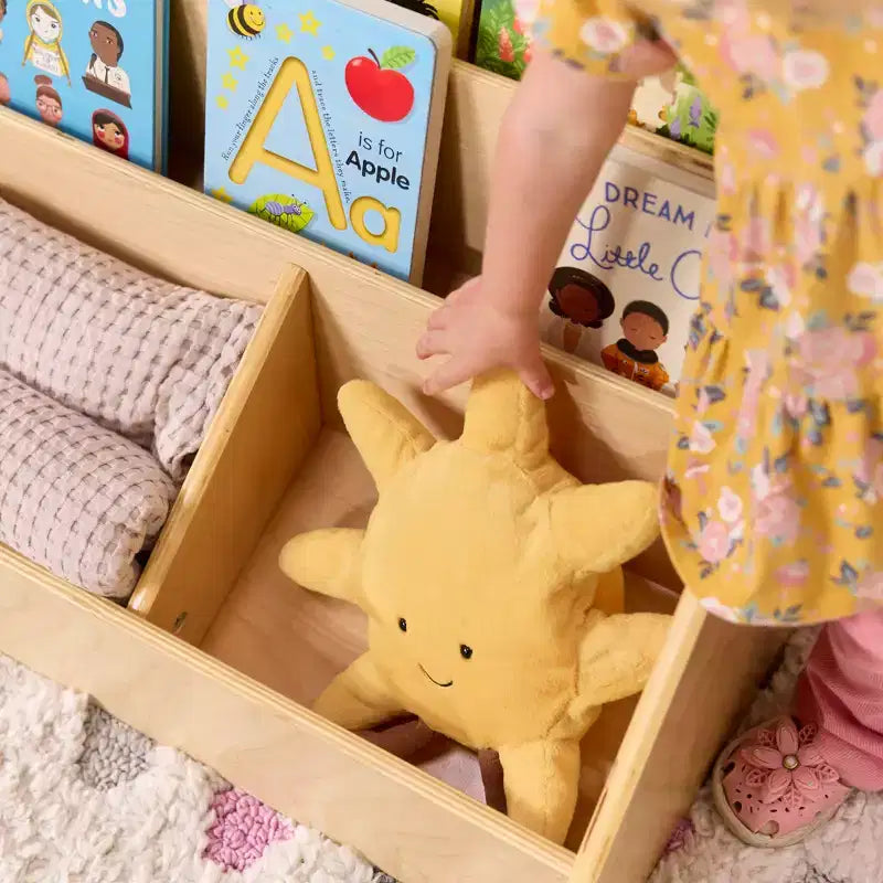 5-Compartment Easy-to-Reach Book Display with Storage