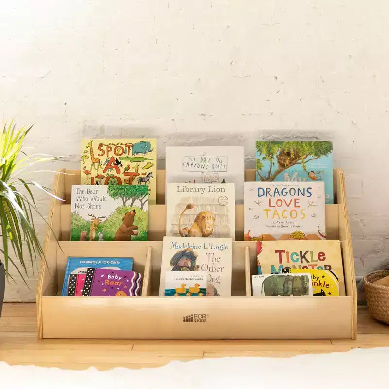 5-Compartment Easy-to-Reach Book Display with Storage